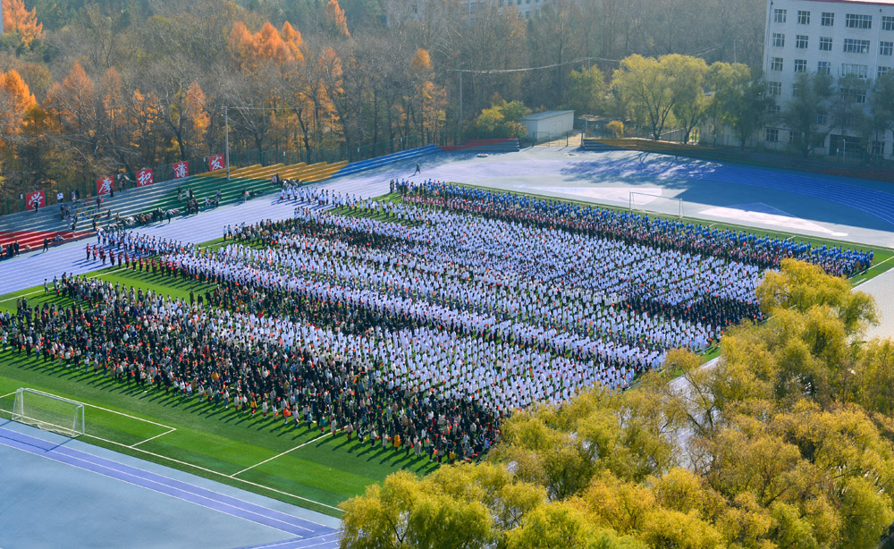久青草无码视频在线观看第一苞
