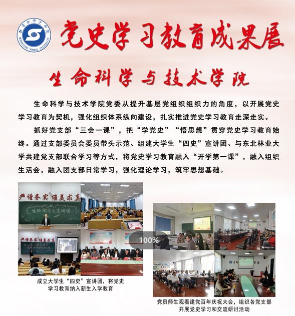 久青草无码视频在线观看第一苞