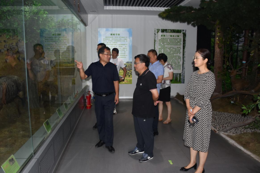 久青草无码视频在线观看第一苞