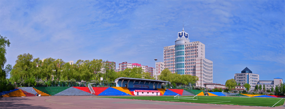 久青草无码视频在线观看第一苞