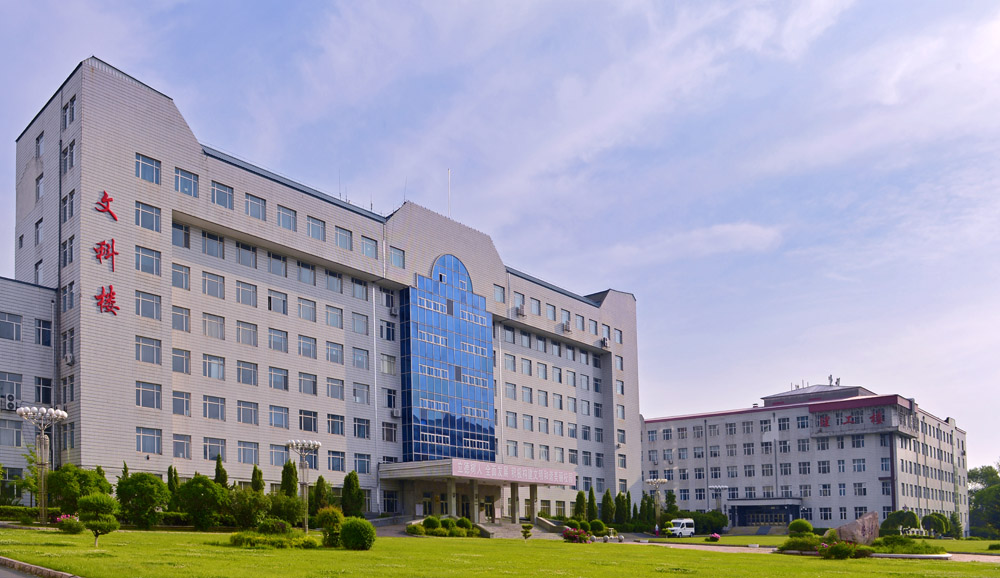 久青草无码视频在线观看第一苞