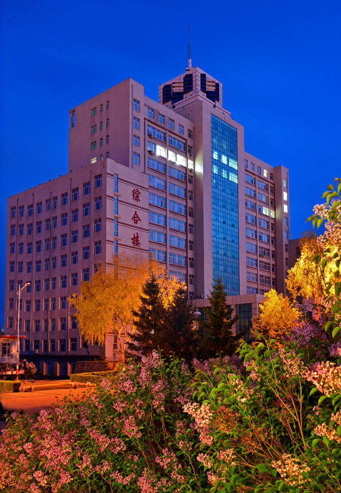 久青草无码视频在线观看第一苞