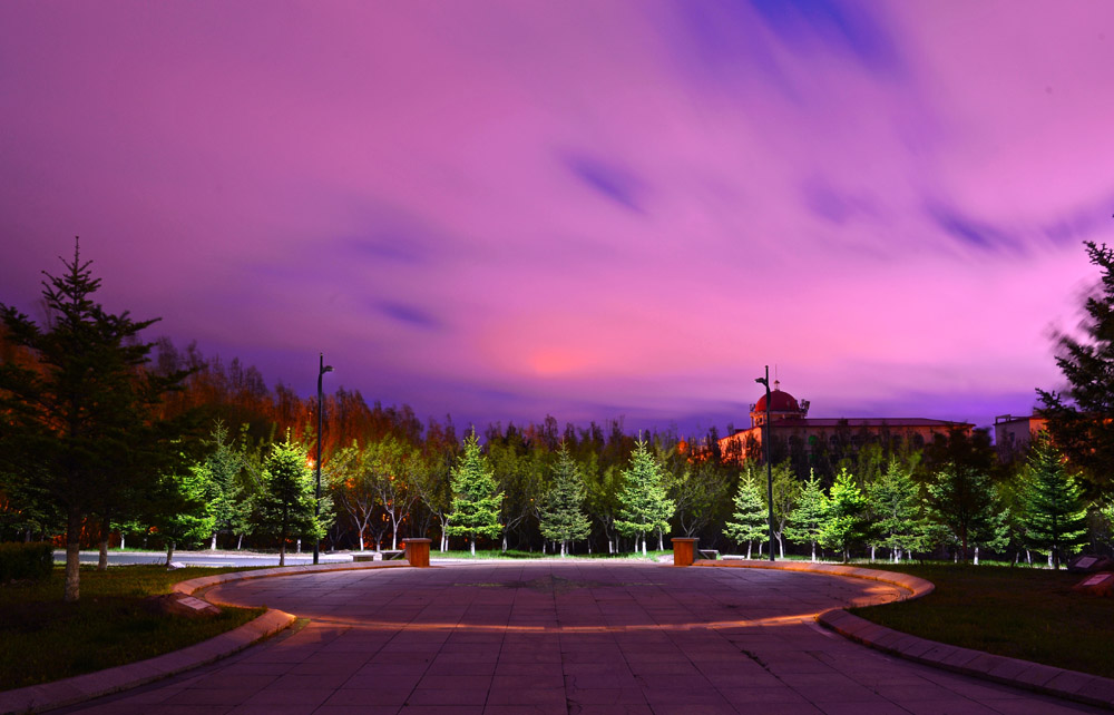 久青草无码视频在线观看第一苞