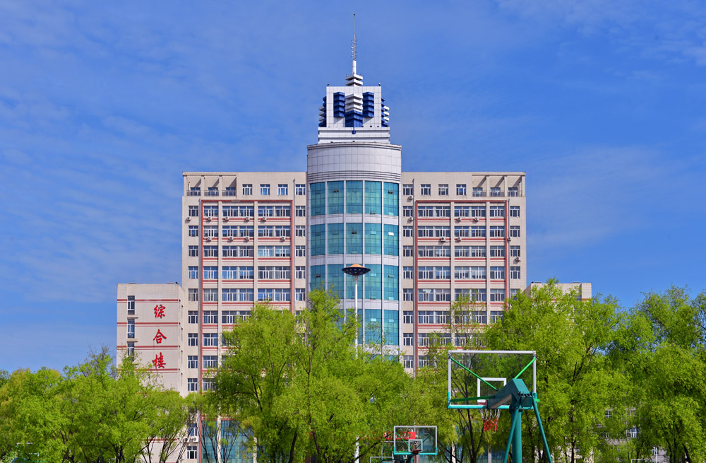 久青草无码视频在线观看第一苞