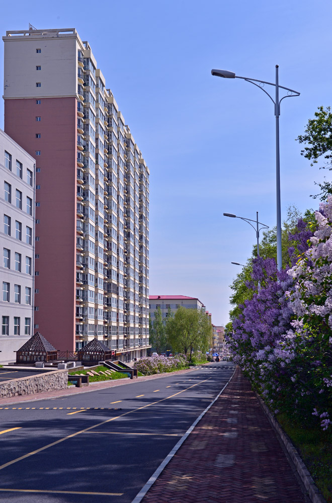 久青草无码视频在线观看第一苞