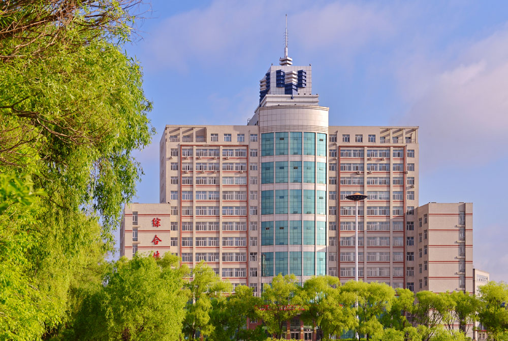 久青草无码视频在线观看第一苞