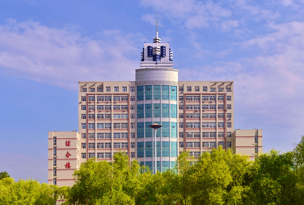 久青草无码视频在线观看第一苞