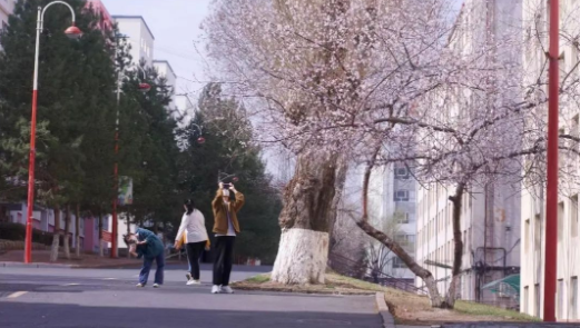 久青草无码视频在线观看第一苞