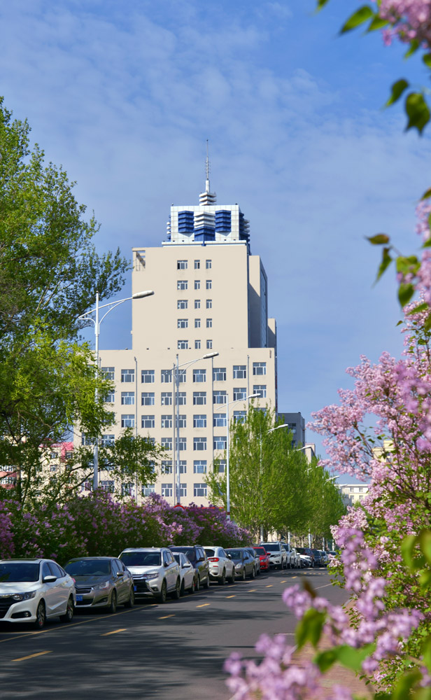 久青草无码视频在线观看第一苞