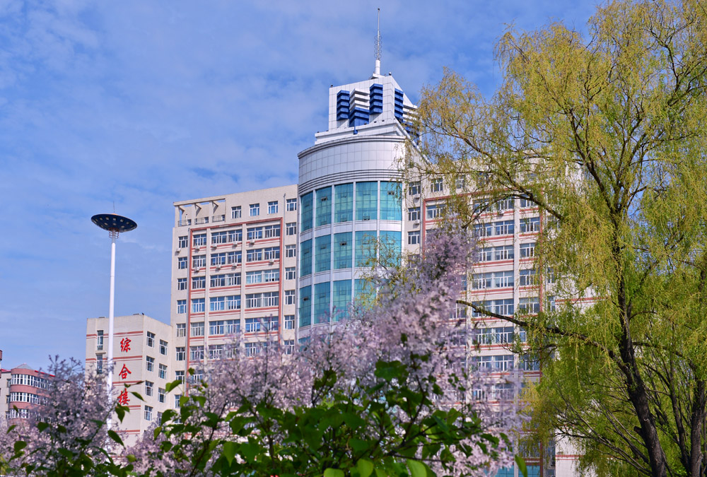 久青草无码视频在线观看第一苞