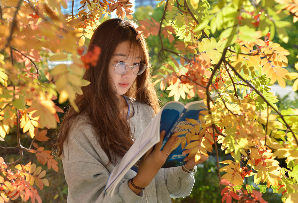 久青草无码视频在线观看第一苞