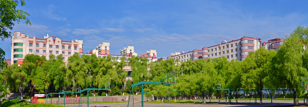 久青草无码视频在线观看第一苞