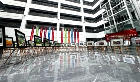 久青草无码视频在线观看第一苞