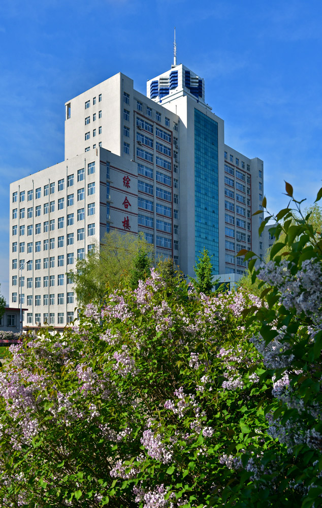 久青草无码视频在线观看第一苞