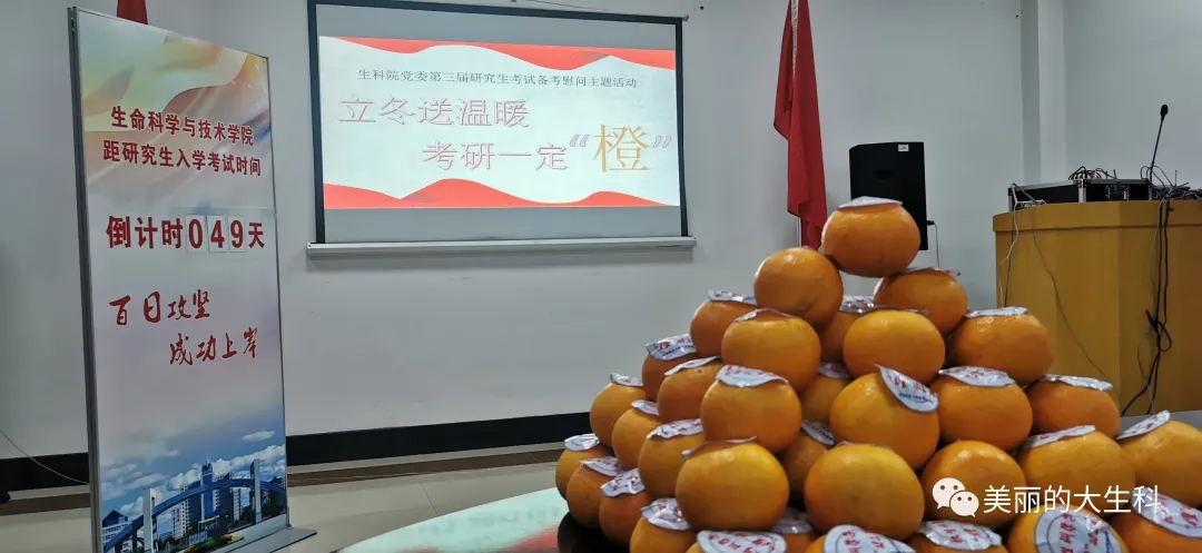 久青草无码视频在线观看第一苞