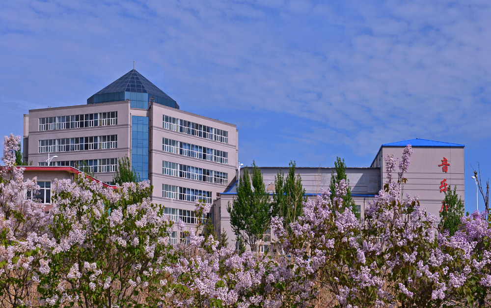 久青草无码视频在线观看第一苞