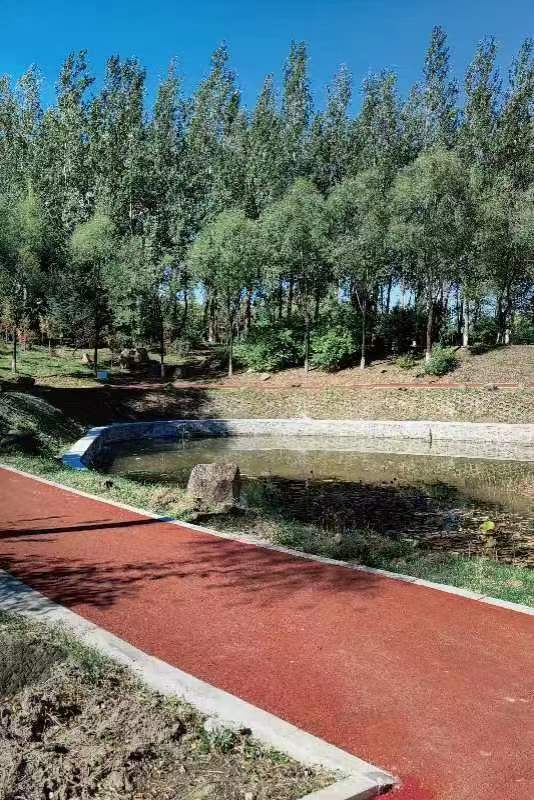 久青草无码视频在线观看第一苞