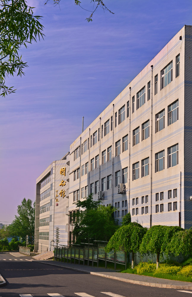 久青草无码视频在线观看第一苞