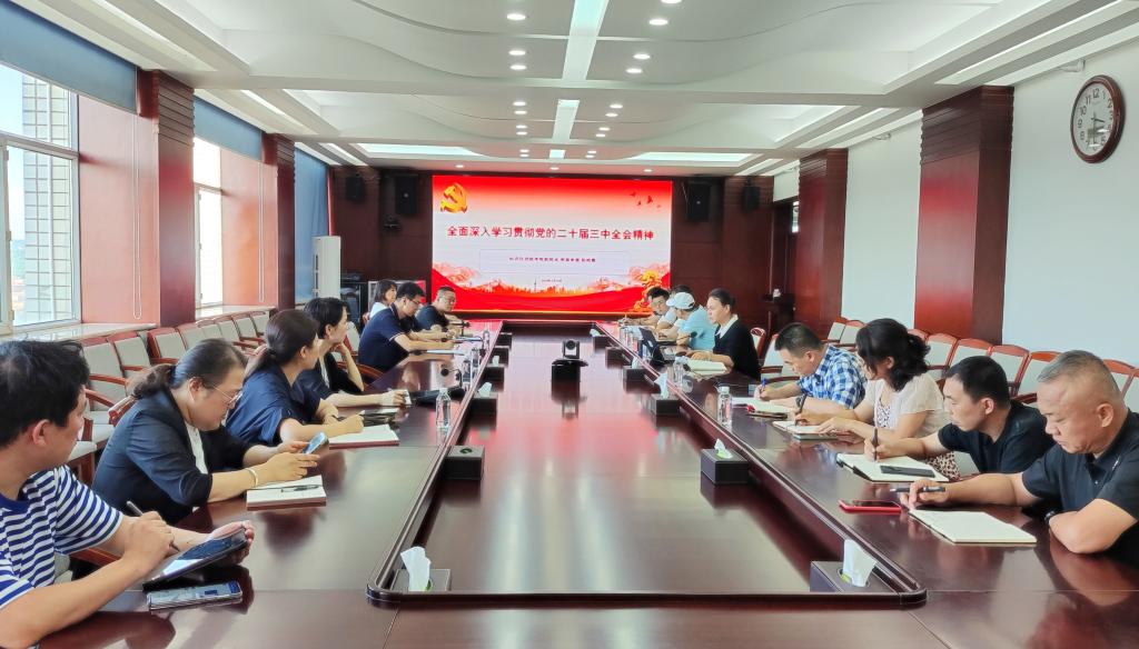 久青草无码视频在线观看第一苞