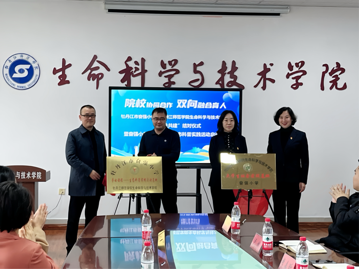 久青草无码视频在线观看第一苞