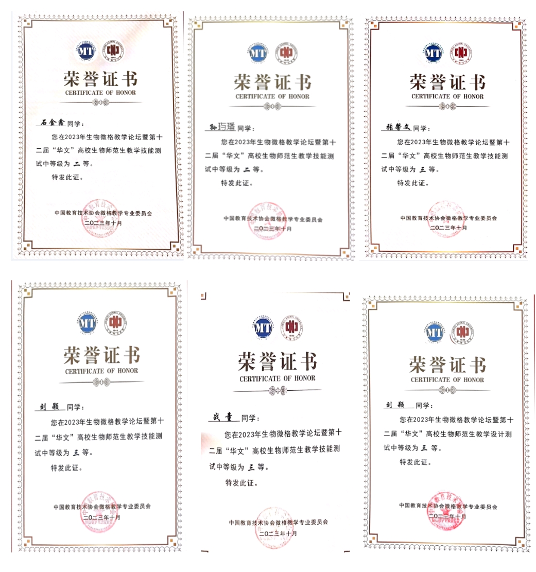 久青草无码视频在线观看第一苞