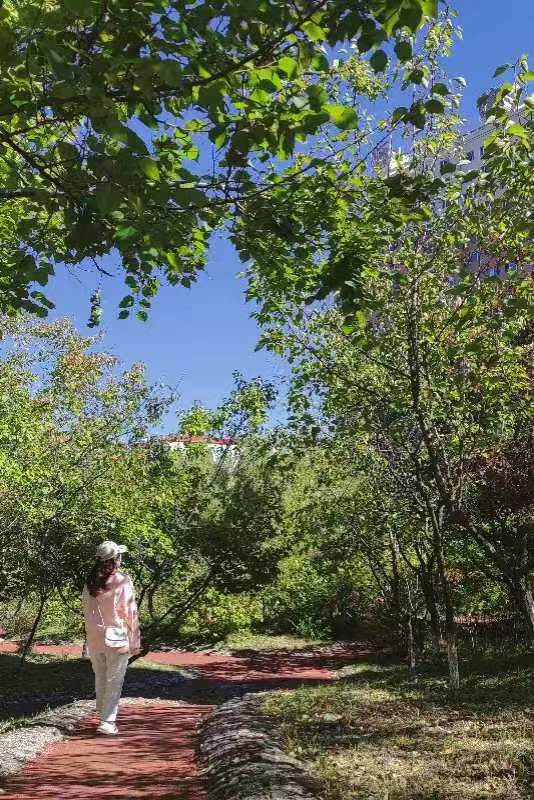 久青草无码视频在线观看第一苞