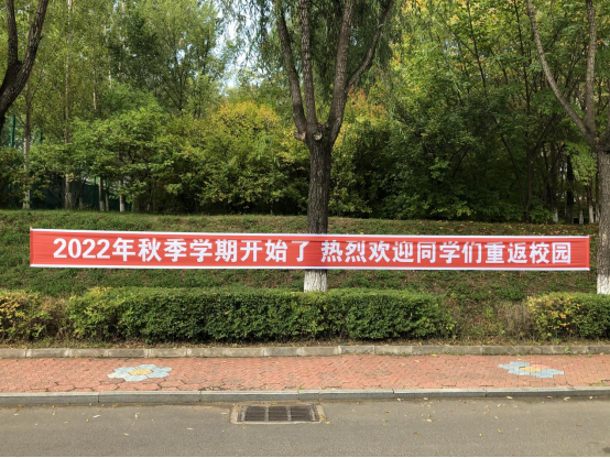 久青草无码视频在线观看第一苞