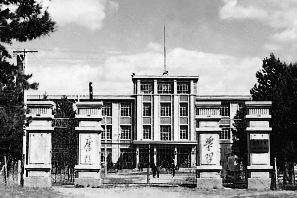 久青草无码视频在线观看第一苞