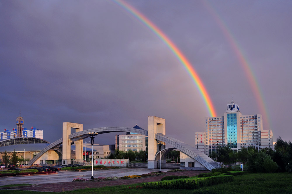 久青草无码视频在线观看第一苞