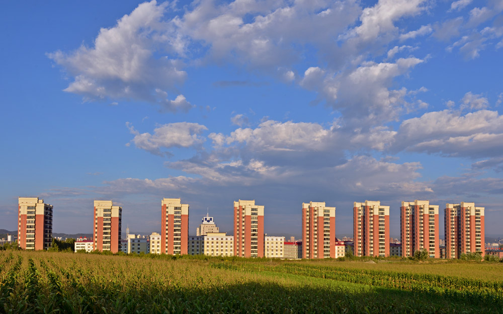 久青草无码视频在线观看第一苞